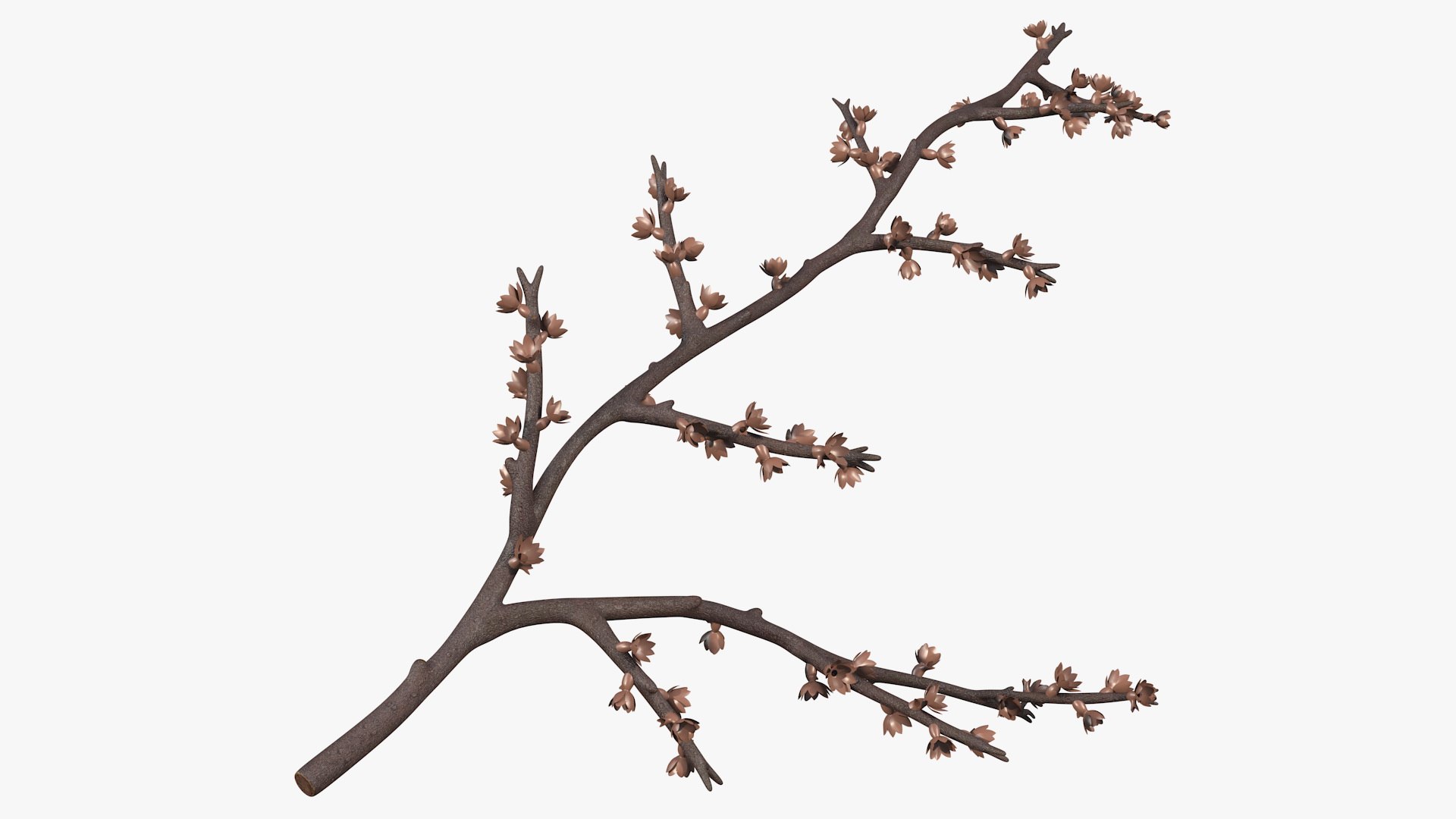 Bare Tree Naked Branch 3D model preview