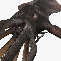 Kraken(1)