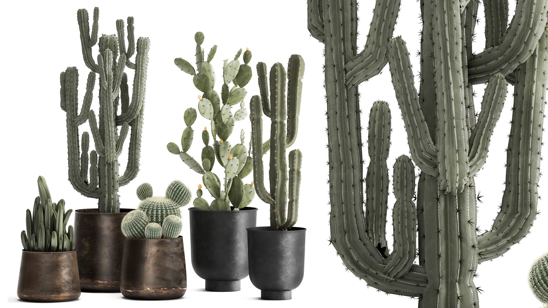 Cactus Set In A Rusty Flowerpot For The Interior 992 3D - TurboSquid ...