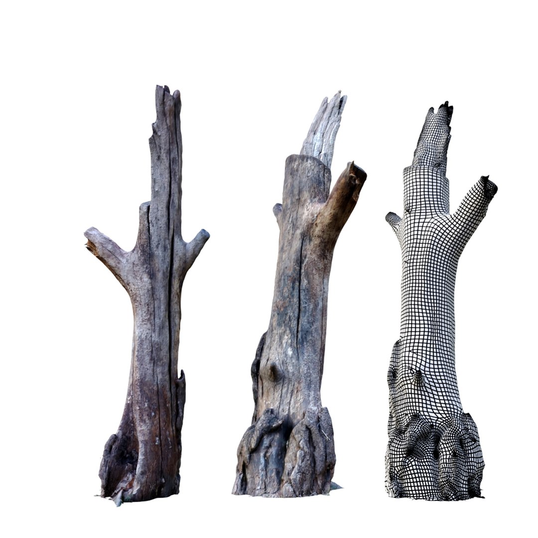 Tree Stump Pack 01 3D Model - TurboSquid 1947822