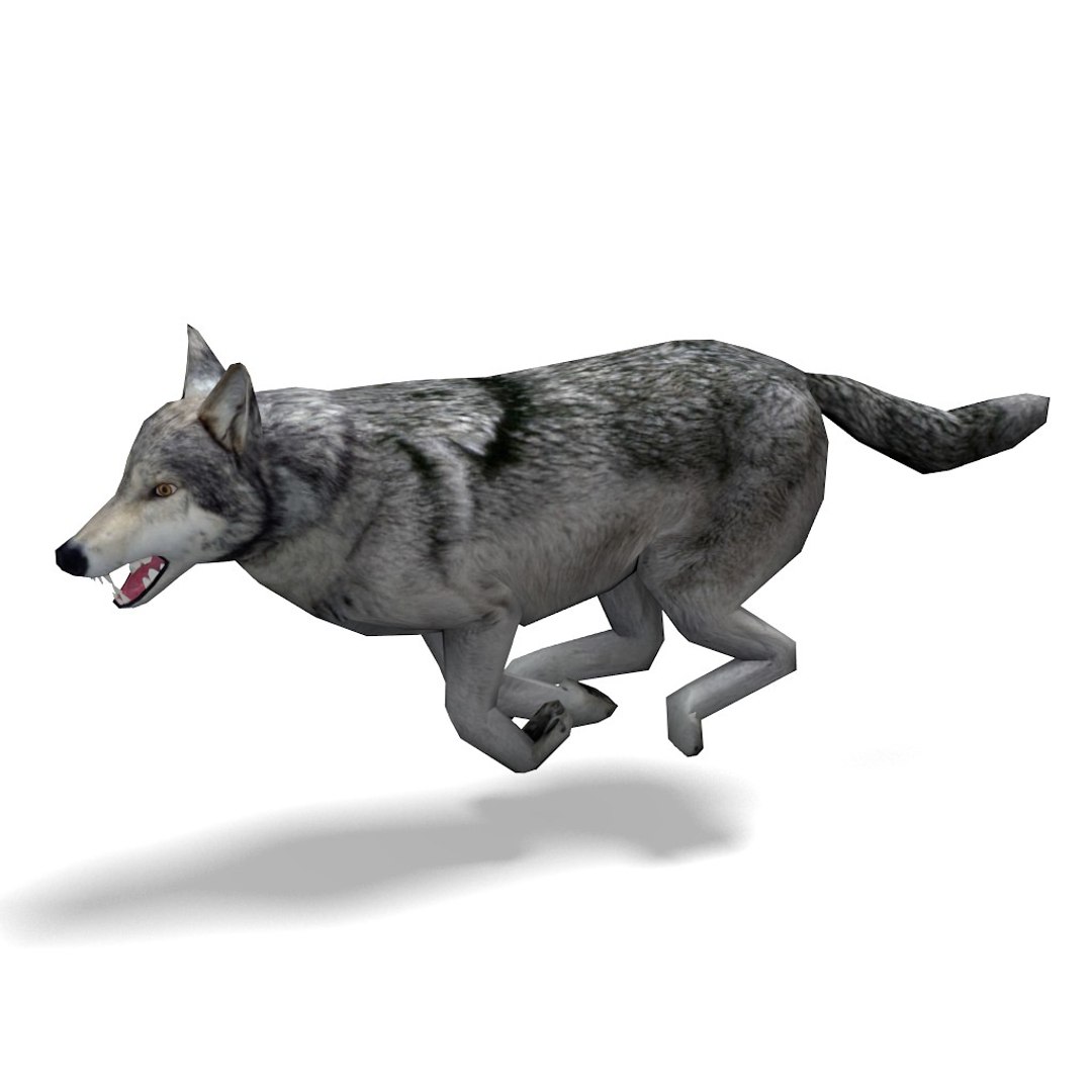 wolf rigged animation x