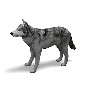 wolf rigged animation x