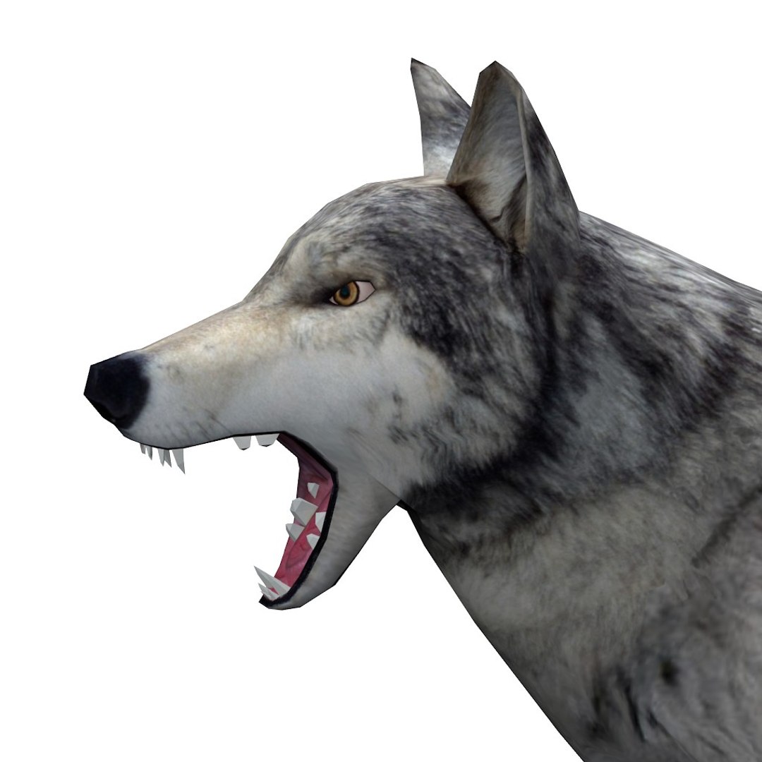 wolf rigged animation x