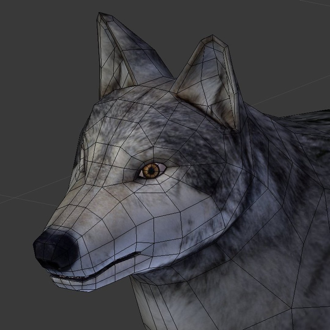 wolf rigged animation x