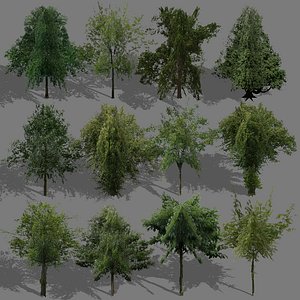 game trees summer 01