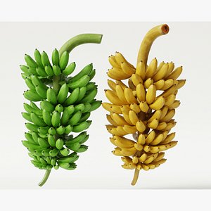 3D GREEN AND YELLOW BANANAS