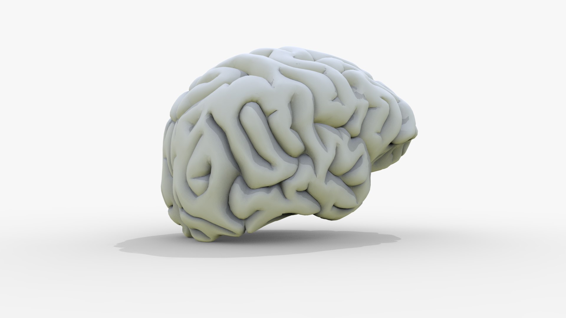 3D Gory Human Brain Damaged https://p.turbosquid.com/ts-thumb/N3/hEzo1Q/5l/render_05/jpg/1683457565/1920x1080/fit_q87/cbefda2328b86ff4aeba7edf1a3ca099e32a7aaa/render_05.jpg
