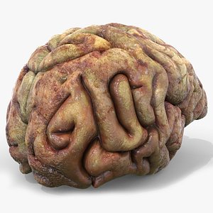 3D Gory Human Brain Damaged