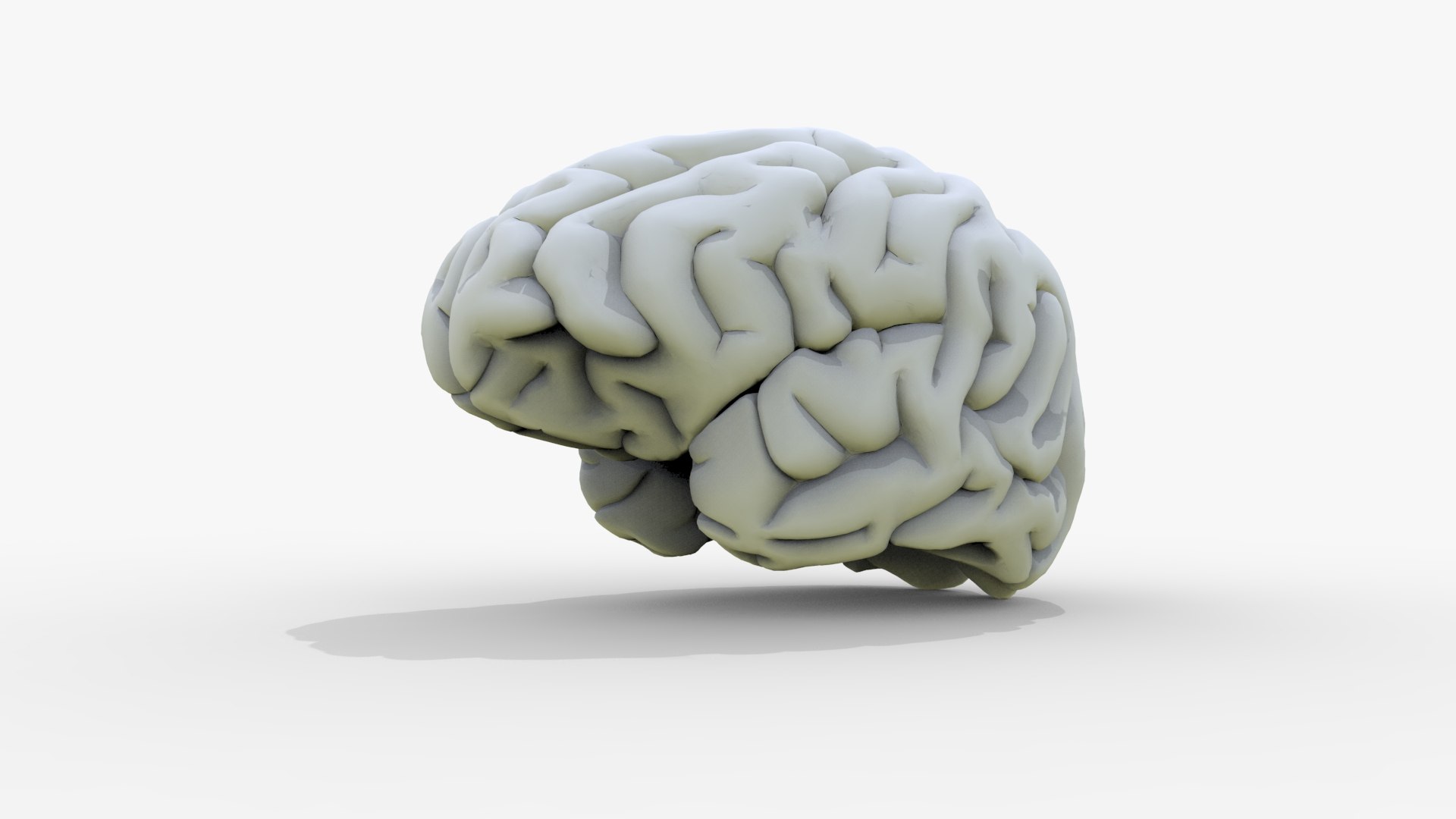3D Gory Human Brain Damaged https://p.turbosquid.com/ts-thumb/N3/hEzo1Q/au/render_10/jpg/1683457562/1920x1080/fit_q87/71253c9ccab745b8bd24e19b07bd1c57820c7845/render_10.jpg