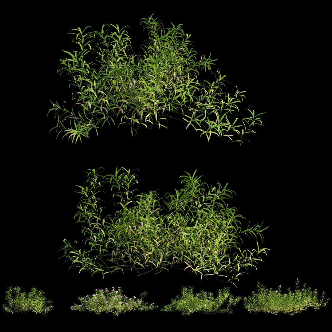 3D grass 01 https://p.turbosquid.com/ts-thumb/N3/knLcFP/1DtDrs2i/view04/jpg/1585560586/1920x1080/fit_q87/cc0a14ce83f4ed12f89ffc3788b49747cfe4b5f3/view04.jpg