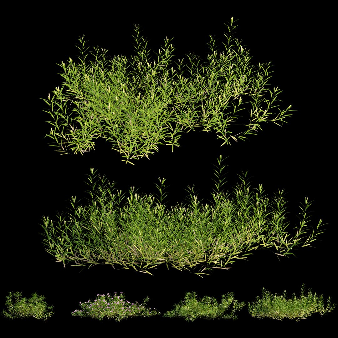 3D grass 01 https://p.turbosquid.com/ts-thumb/N3/knLcFP/4FAzdVMQ/view03/jpg/1585560586/1920x1080/fit_q87/a703e586f61fe3c6bf5a2d38820afebe9a2a6a40/view03.jpg