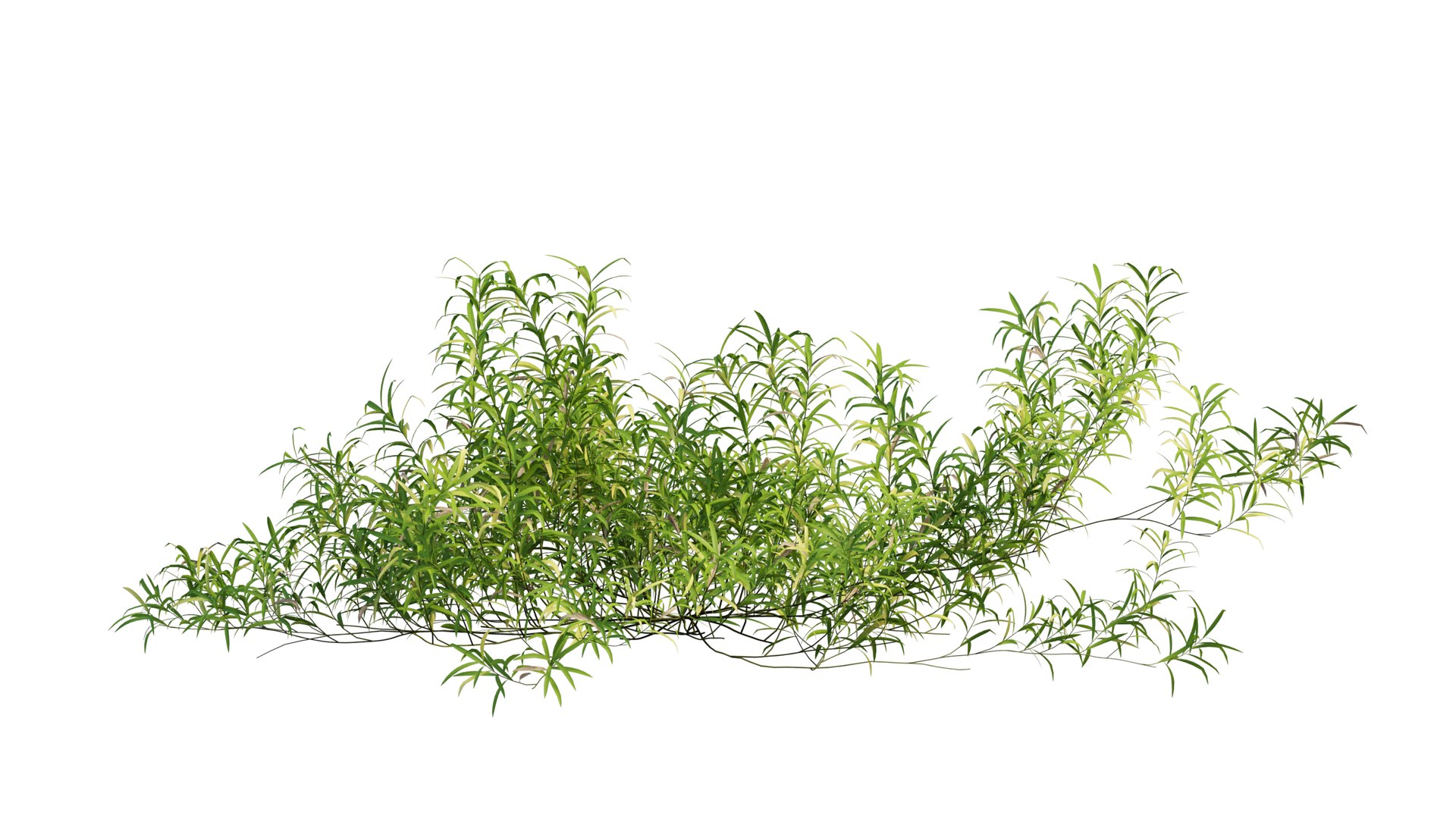 3D grass 01 https://p.turbosquid.com/ts-thumb/N3/knLcFP/4phVINsp/28_interactivelightmix/png/1603741905/1920x1080/fit_q87/5a163f70cf89f5bdbd86c43c8b073f0598ac8dc2/28_interactivelightmix.jpg