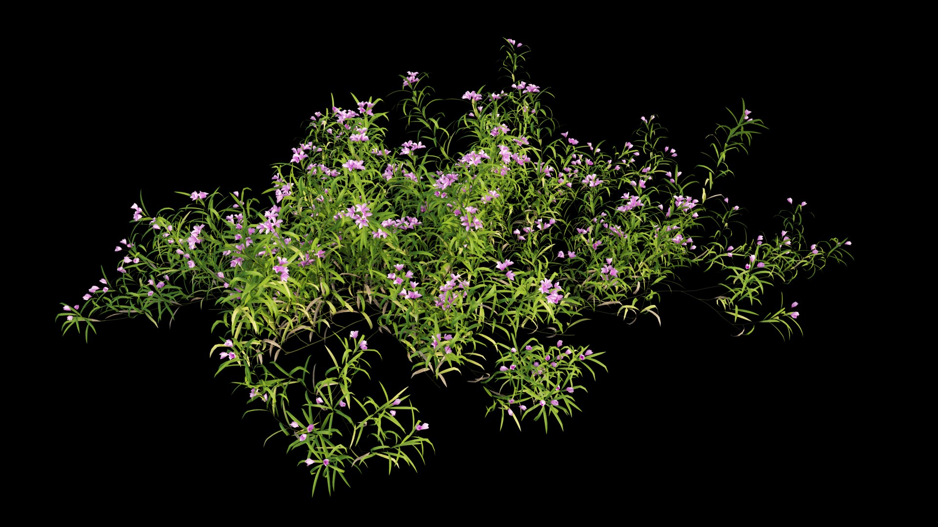 3D grass 01 https://p.turbosquid.com/ts-thumb/N3/knLcFP/5H23Gwdp/view05/jpg/1585561095/1920x1080/fit_q87/f7d8784c04817c2f40bcdd8ac02cebe48a4a9b3b/view05.jpg