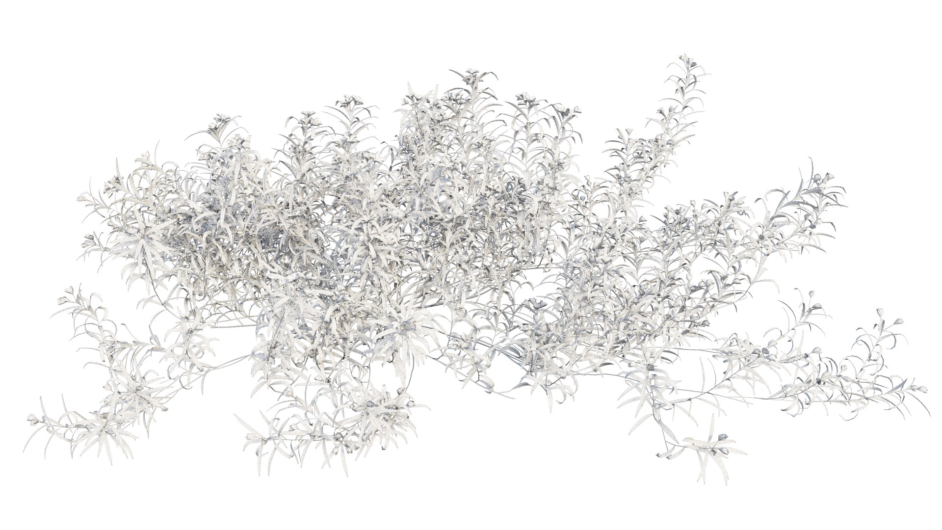 3D grass 01 https://p.turbosquid.com/ts-thumb/N3/knLcFP/BlCSf6xJ/31_interactivelightmix/png/1603741908/1920x1080/fit_q87/f1c552b9627db3bab44d789cbd97b36b7750d00a/31_interactivelightmix.jpg