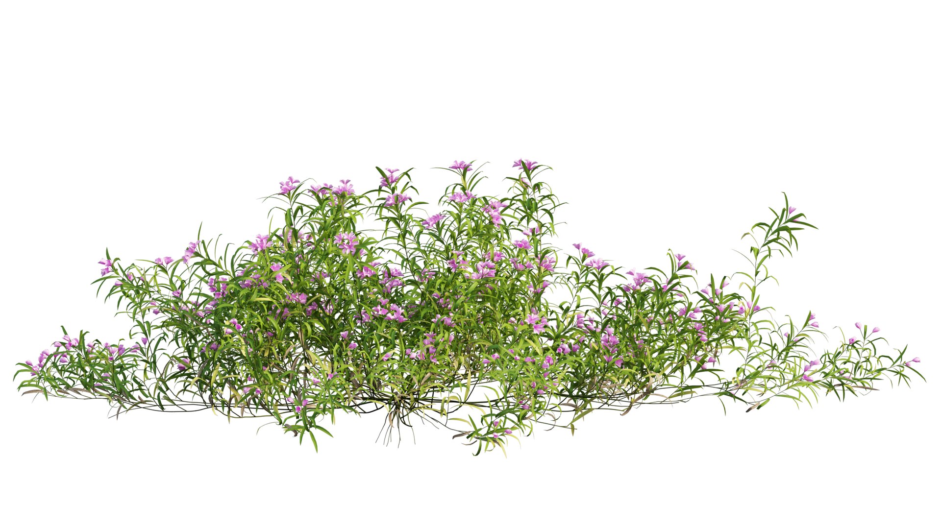 3D grass 01 https://p.turbosquid.com/ts-thumb/N3/knLcFP/HmjsILlq/27_interactivelightmix/png/1603741904/1920x1080/fit_q87/9daed9330b4e2c36e047be0d7790defa40b5a371/27_interactivelightmix.jpg