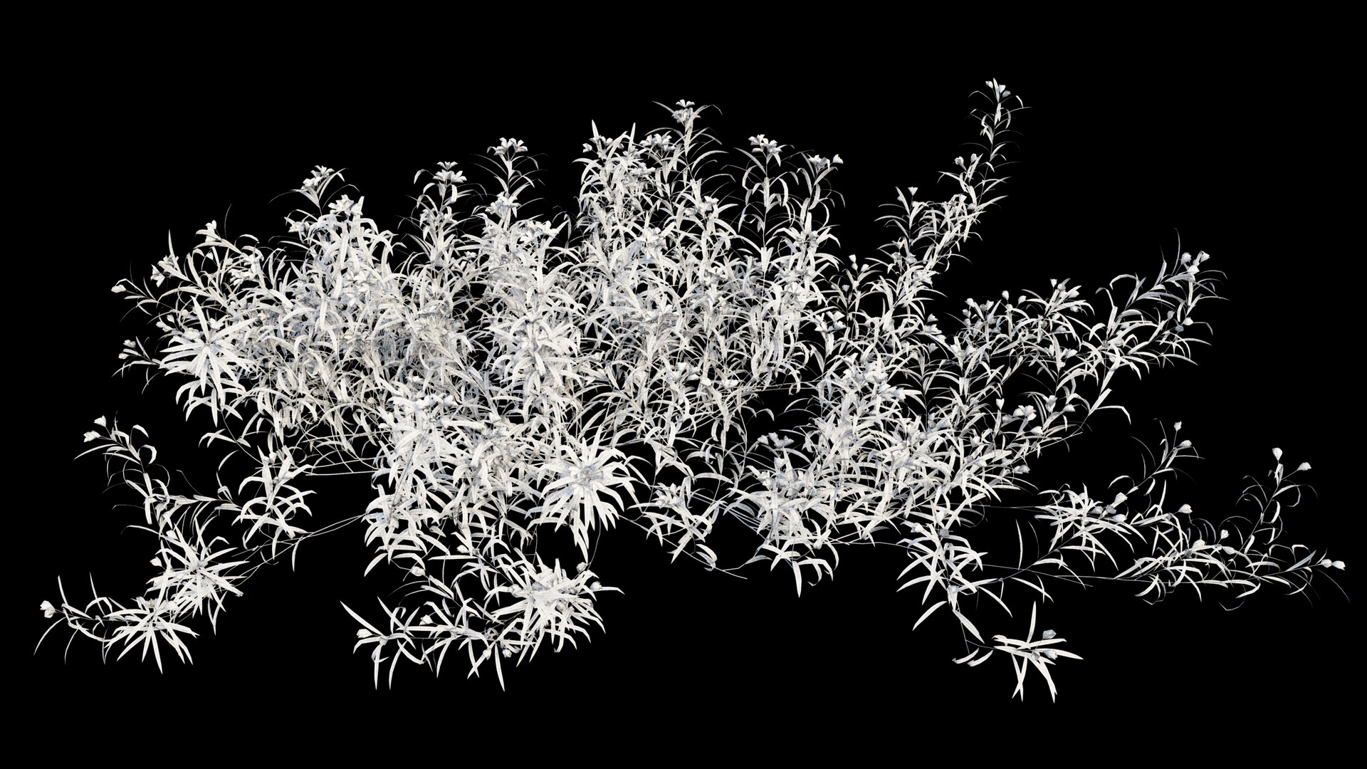 3D grass 01 https://p.turbosquid.com/ts-thumb/N3/knLcFP/MIQ4OEtO/view06/jpg/1585561095/1920x1080/fit_q87/cfc331064868374d12ed1f7a20ed18150f7ccce9/view06.jpg