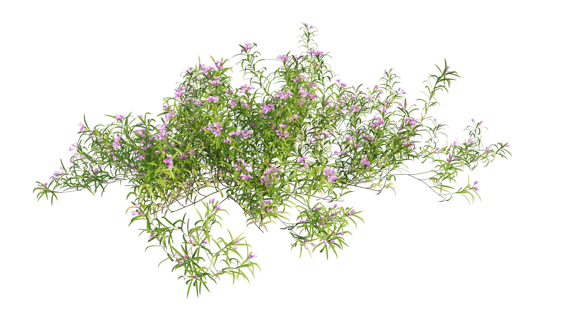 3D grass 01 https://p.turbosquid.com/ts-thumb/N3/knLcFP/Qu07uo0p/22_interactivelightmix/png/1603741904/1920x1080/fit_q87/0b1fa1688e668e0d652376cea1fb0bc4944fb221/22_interactivelightmix.jpg