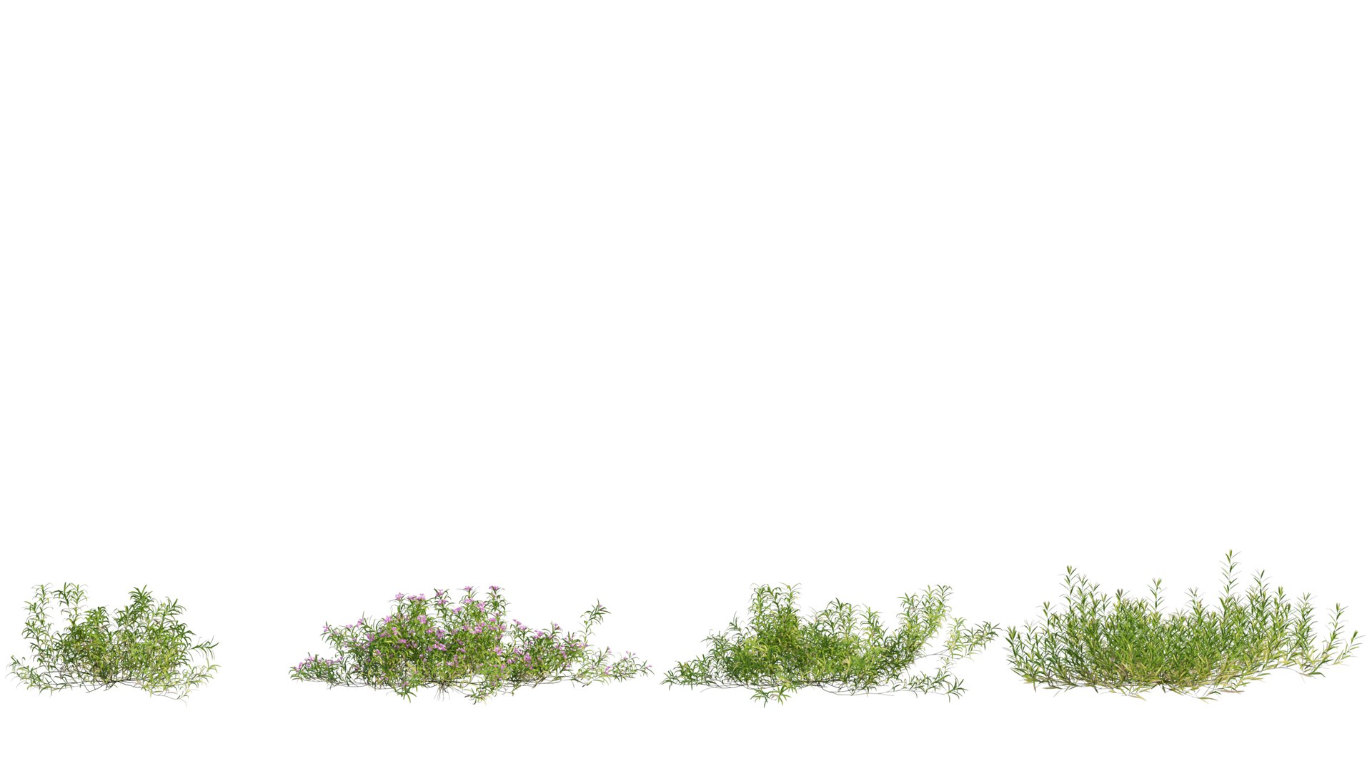 3D grass 01 https://p.turbosquid.com/ts-thumb/N3/knLcFP/yvkjDhvC/26_interactivelightmix/png/1603741902/1920x1080/fit_q87/d285cbd29a1c4a0899b820bb3423b379c5d7ab71/26_interactivelightmix.jpg