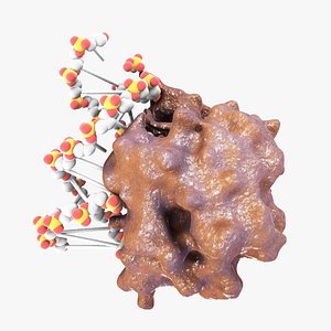dna glycosylase max