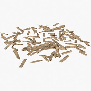 3D Wood Plank Debris 1 model
