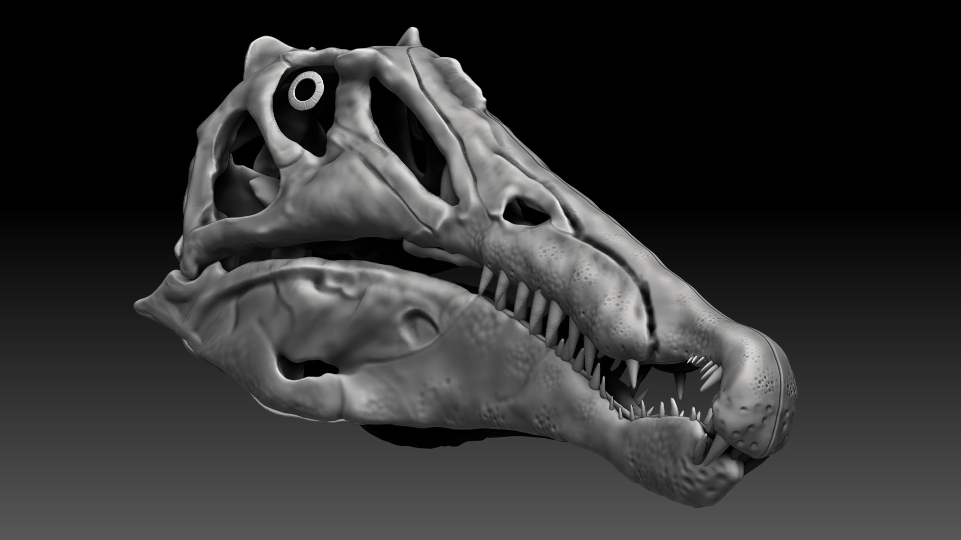 Spinosaurus 2020 version Skull Set Skeletons Sculpt Project 3D model ...