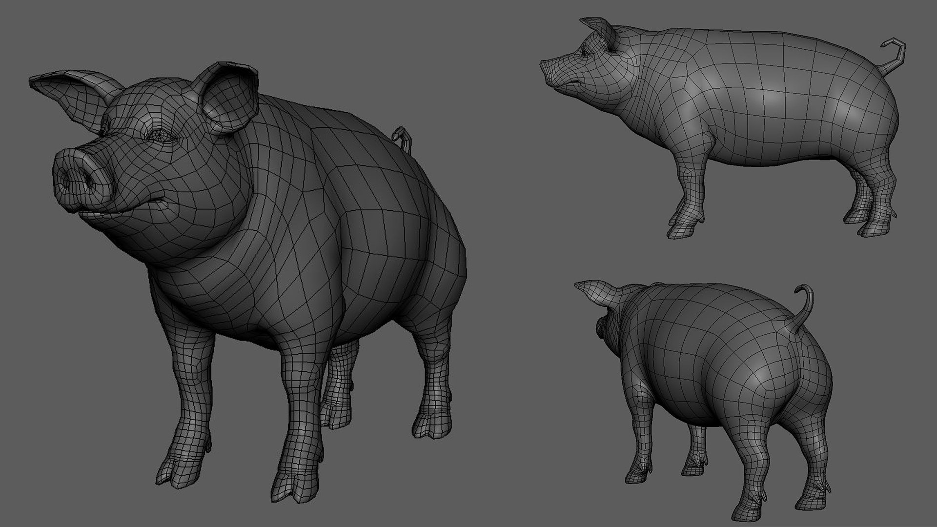 3D Pig https://p.turbosquid.com/ts-thumb/N4/1x6iI2/0H/wire/jpg/1684330225/1920x1080/fit_q87/bb91c836134eed40a0354621be9291b7bc12ea29/wire.jpg