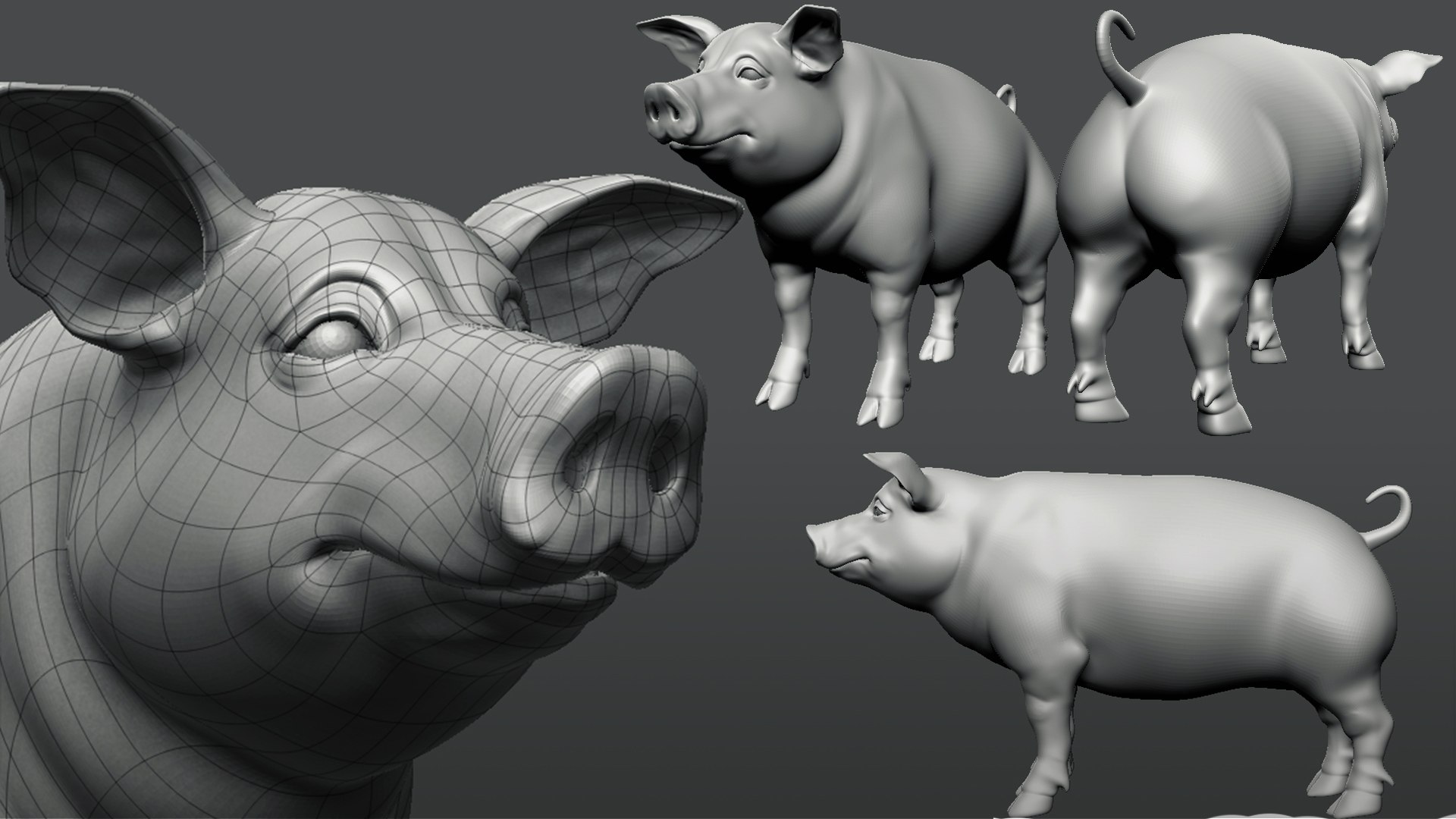 3D Pig https://p.turbosquid.com/ts-thumb/N4/1x6iI2/7m/pignew1/jpg/1689399549/1920x1080/fit_q87/b0cc022471d093ee0d8105ae3ae8f5c03d685bbb/pignew1.jpg