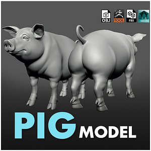 Pig