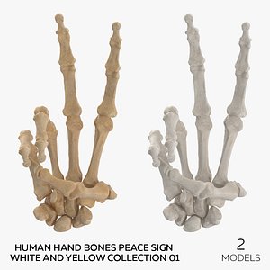 Human Hand Bones Peace Sign White and Yellow Collection 01 - 2 models