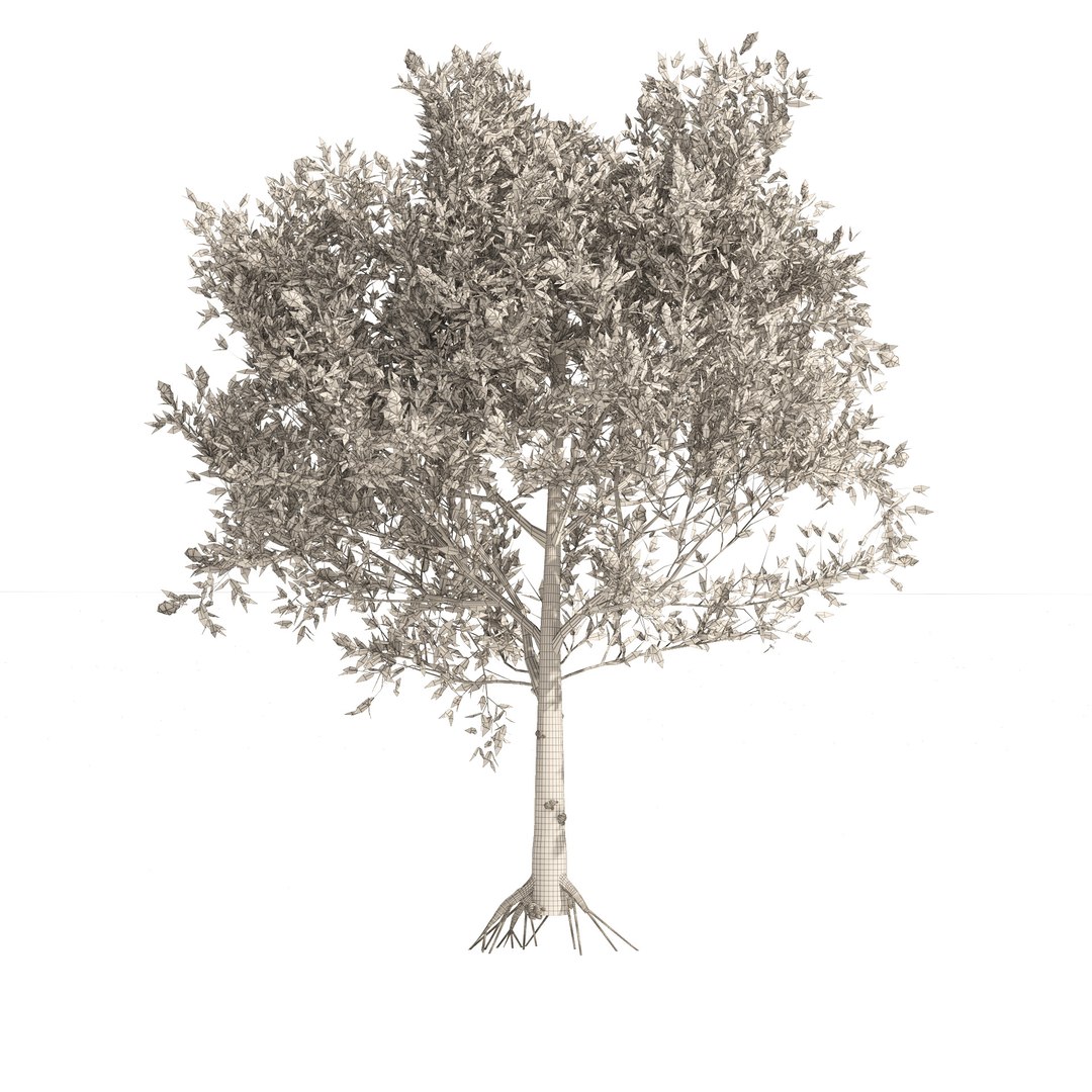 Mediterranean Olive Trees 3D model https://p.turbosquid.com/ts-thumb/N4/Otinp9/A6/wire/jpg/1660695102/1920x1080/fit_q87/882cd5539beb21a59ca3da0fc821e4e518b67394/wire.jpg