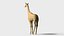 Girafe Low Poly