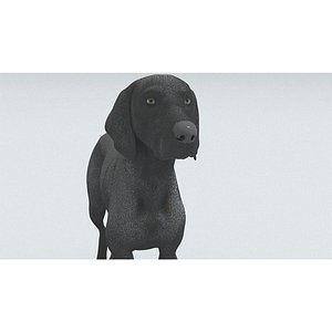 3D laos Weimaraner dog model