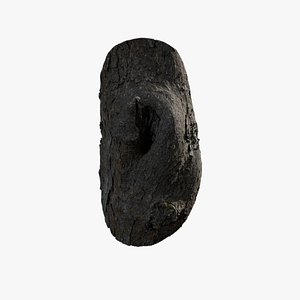 Anydrafts Rhododendron lapponicum Burl 02 3D model