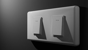 simple twin light switches