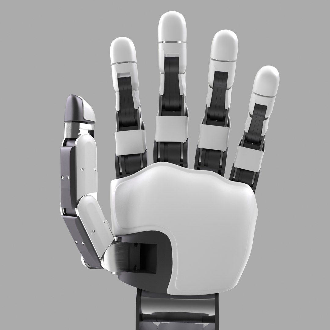3d Modular Prosthetic Limb Model
