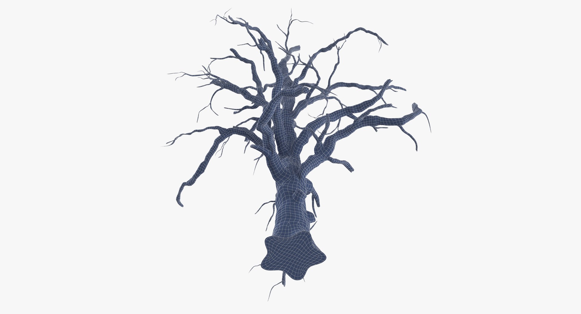 old dead tree 03 3d model https://p.turbosquid.com/ts-thumb/N5/MtHcKM/1SR6Uj9d/old_dead_tree_03_wireframe_0007/jpg/1481471692/1920x1080/fit_q87/ba06491037b97a4f8a6c35de7244903a10341d16/old_dead_tree_03_wireframe_0007.jpg