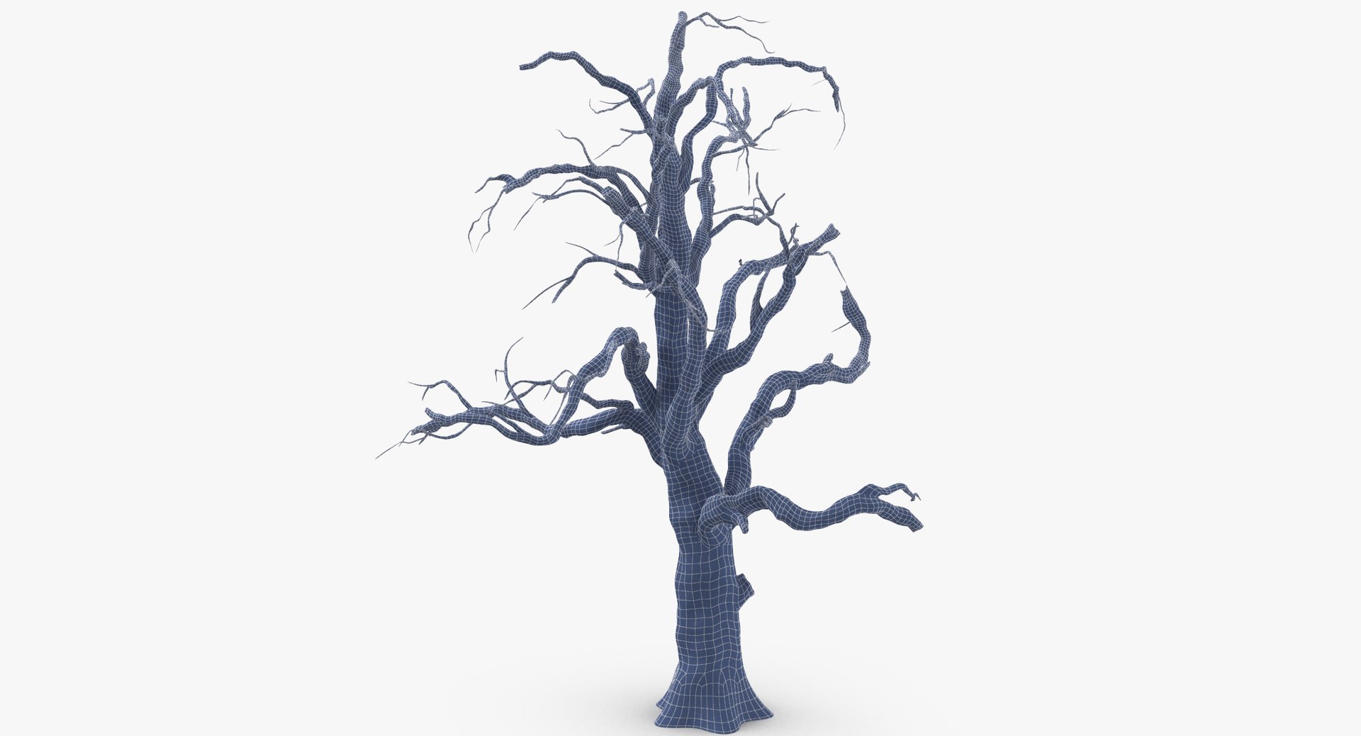 old dead tree 03 3d model https://p.turbosquid.com/ts-thumb/N5/MtHcKM/C7sPlaXa/old_dead_tree_03_wireframe_0003/jpg/1481471691/1920x1080/fit_q87/cd03ab34d9db03d4d6173cc7561c3a5509b64342/old_dead_tree_03_wireframe_0003.jpg