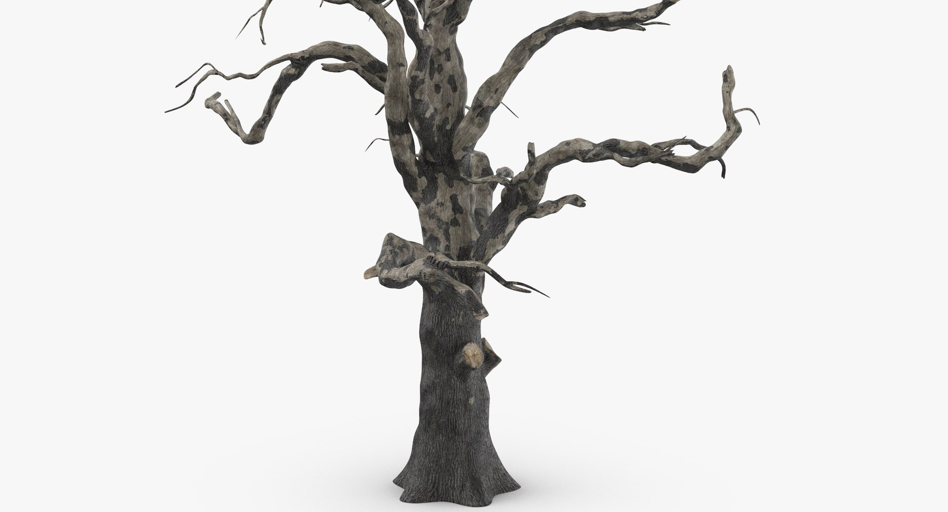 old dead tree 03 3d model https://p.turbosquid.com/ts-thumb/N5/MtHcKM/HNFY05Gv/old_dead_tree_03_thumbnail_0004/jpg/1481471691/1920x1080/fit_q87/98c8651db3d7ccb99c1f16f9d73a13ae6e6c768b/old_dead_tree_03_thumbnail_0004.jpg