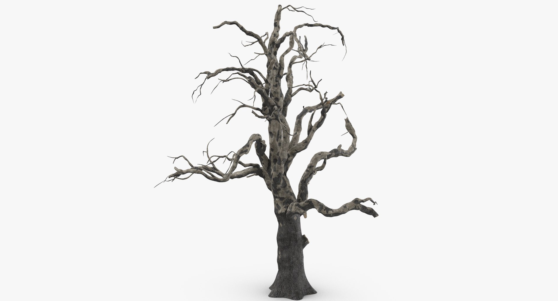 old dead tree 03 3d model https://p.turbosquid.com/ts-thumb/N5/MtHcKM/MrVve1hq/old_dead_tree_03_thumbnail_0003/jpg/1481471691/1920x1080/fit_q87/1dc7fe7c3701fd530d678d953e0c23be7b8075bd/old_dead_tree_03_thumbnail_0003.jpg