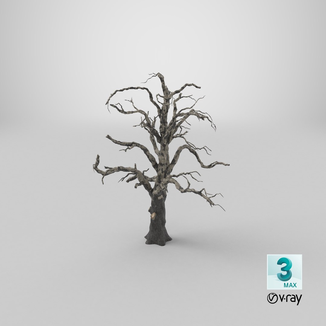old dead tree 03 3d model https://p.turbosquid.com/ts-thumb/N5/MtHcKM/SqVFcMbC/qa_camera_full_frame_0/png/1499338016/1920x1080/fit_q87/07a2abba6bc111fd5077cc2d919278f2a2bda053/qa_camera_full_frame_0.jpg
