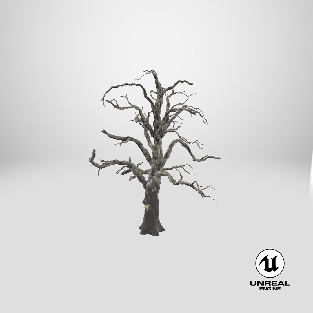 old dead tree 03 3d model https://p.turbosquid.com/ts-thumb/N5/MtHcKM/UZUYugCN/unreal_capture/png/1499338019/1920x1080/fit_q87/faa0ac3752db4c78708af62a80c7b91a34bb48e2/unreal_capture.jpg