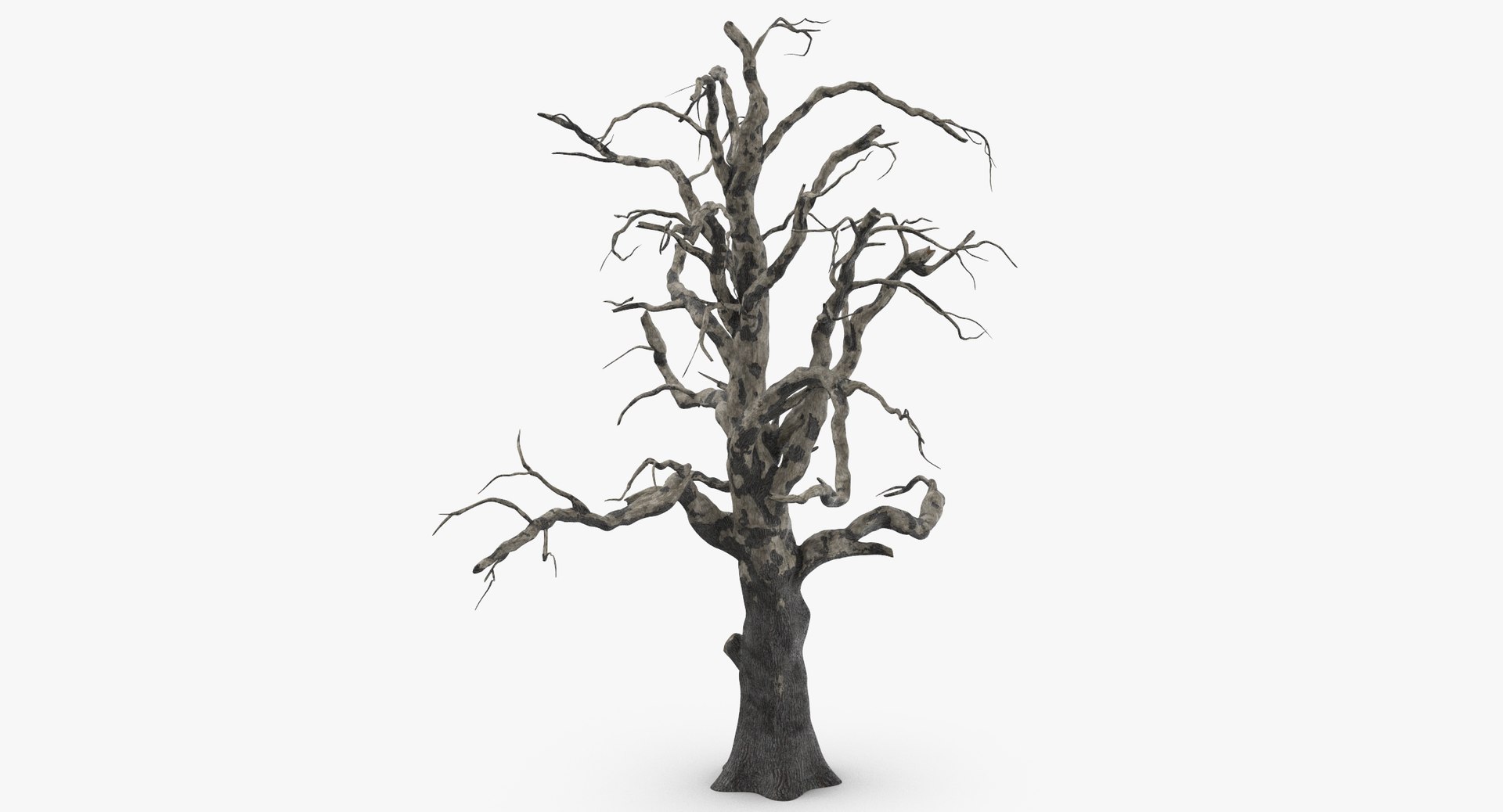 old dead tree 03 3d model https://p.turbosquid.com/ts-thumb/N5/MtHcKM/UzqOVQHM/old_dead_tree_03_thumbnail_0002/jpg/1481471691/1920x1080/fit_q87/b678313d20e67f7bbe2527077d87988d5481a2fc/old_dead_tree_03_thumbnail_0002.jpg