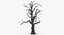 Old Dead Tree 03