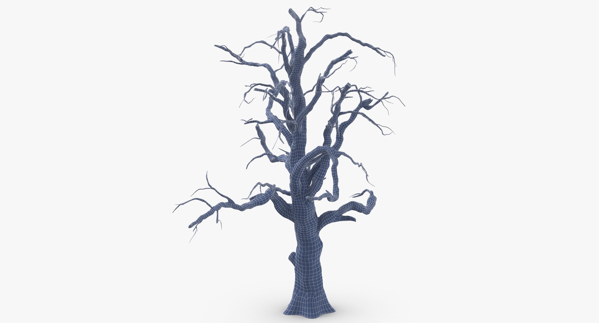 old dead tree 03 3d model https://p.turbosquid.com/ts-thumb/N5/MtHcKM/ZxrumOc3/old_dead_tree_03_wireframe_0002/jpg/1481471691/1920x1080/fit_q87/03fba4970510c1d6b5987b0ab77e53aefff099af/old_dead_tree_03_wireframe_0002.jpg