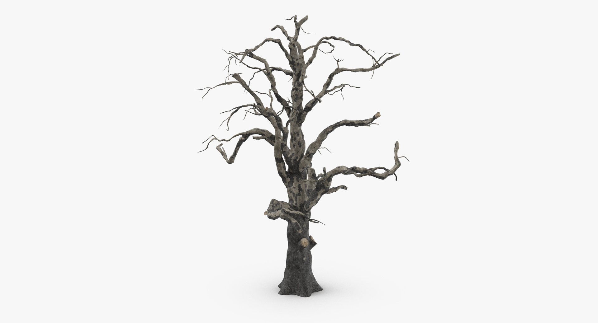 old dead tree 03 3d model https://p.turbosquid.com/ts-thumb/N5/MtHcKM/dF9H1BCj/0000/jpg/1482310826/1920x1080/turn_fit_q99/a8b264e48138999c79710076a7ca7ef535444250/0000-1.jpg