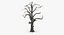 old dead tree 03 3d model