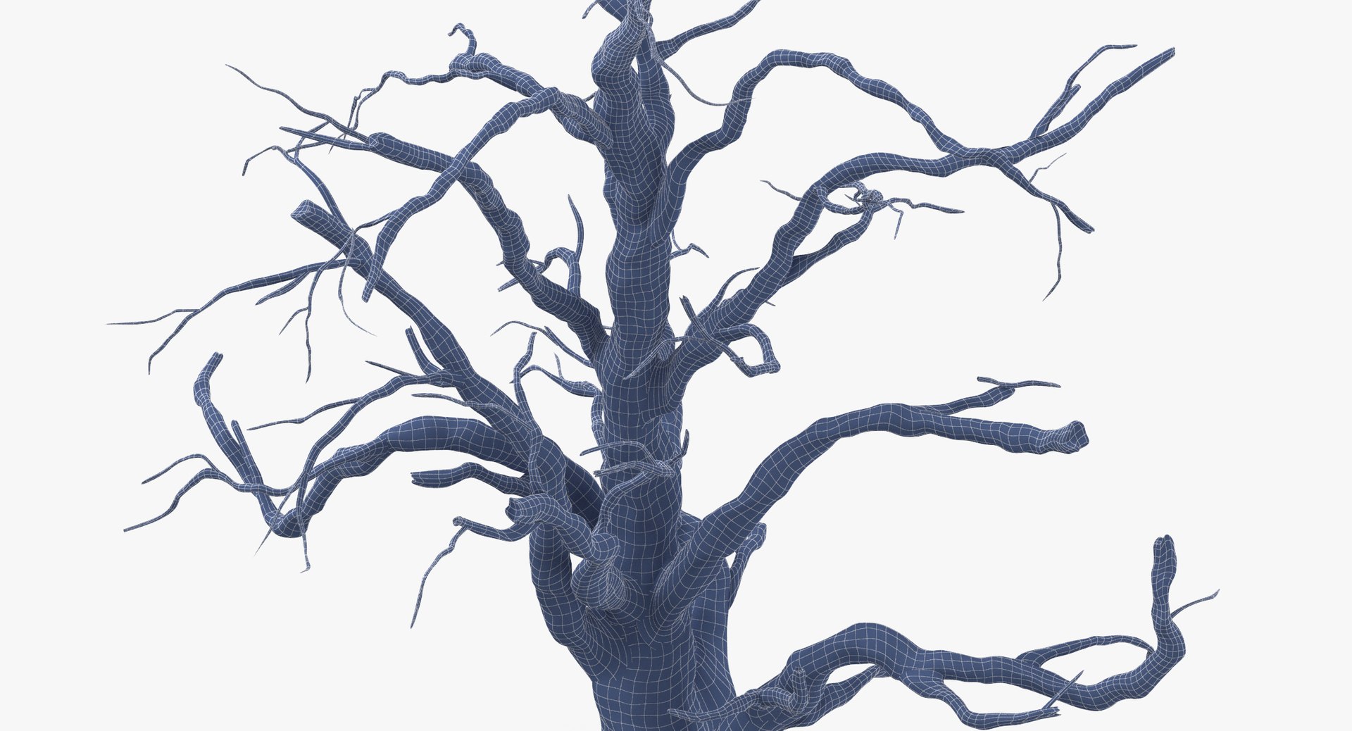 old dead tree 03 3d model https://p.turbosquid.com/ts-thumb/N5/MtHcKM/fPdyDriL/old_dead_tree_03_wireframe_0005/jpg/1481471691/1920x1080/fit_q87/1a8a4ba00969a7e75f6c667a36967762793fbe28/old_dead_tree_03_wireframe_0005.jpg