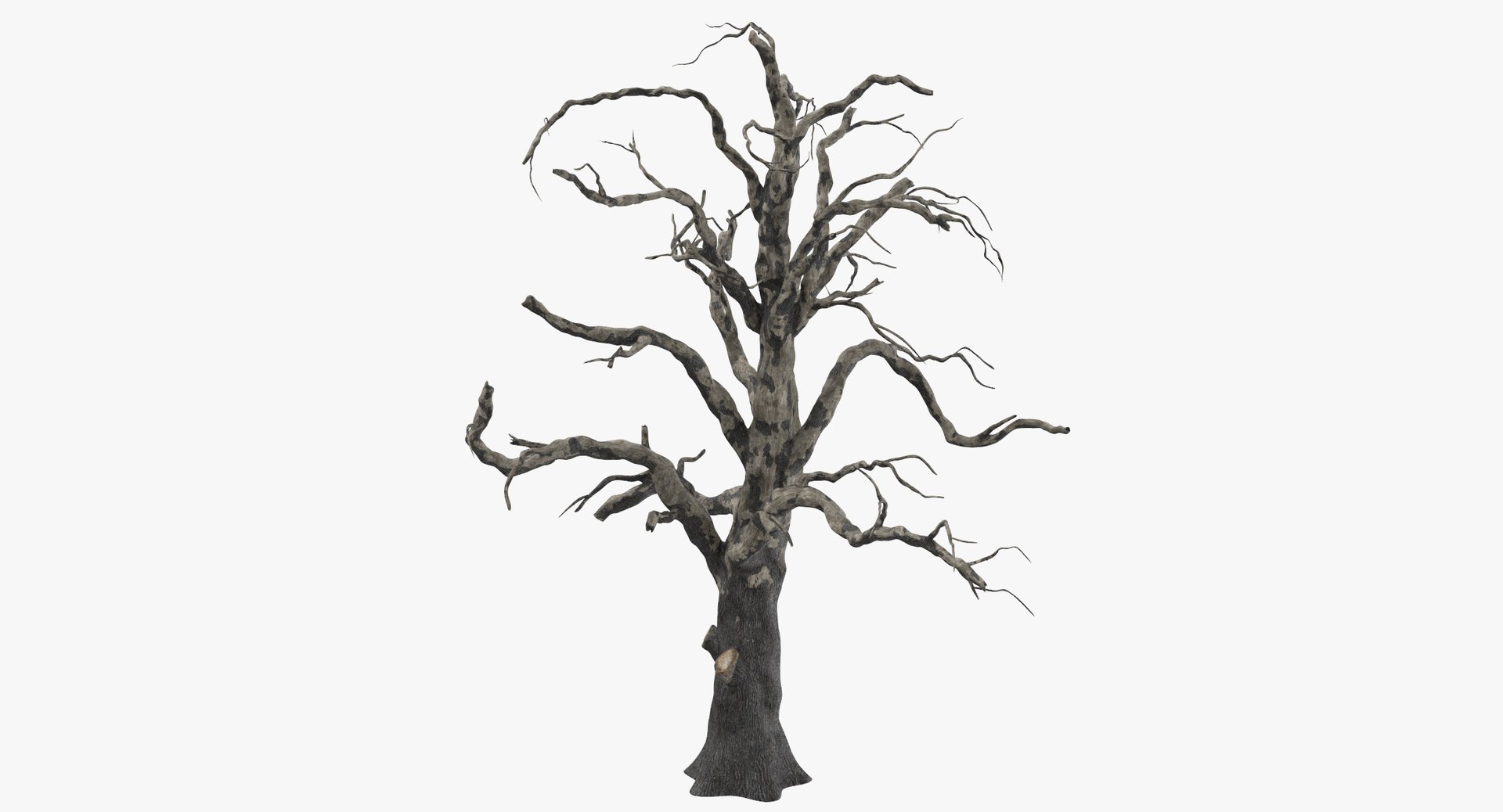 old dead tree 03 3d model https://p.turbosquid.com/ts-thumb/N5/MtHcKM/ilcXkGWA/old_dead_tree_03_thumbnail_0000/jpg/1481471691/1920x1080/fit_q87/11995a64f2f58edcf9b2aa61a5f54ffab1670257/old_dead_tree_03_thumbnail_0000.jpg
