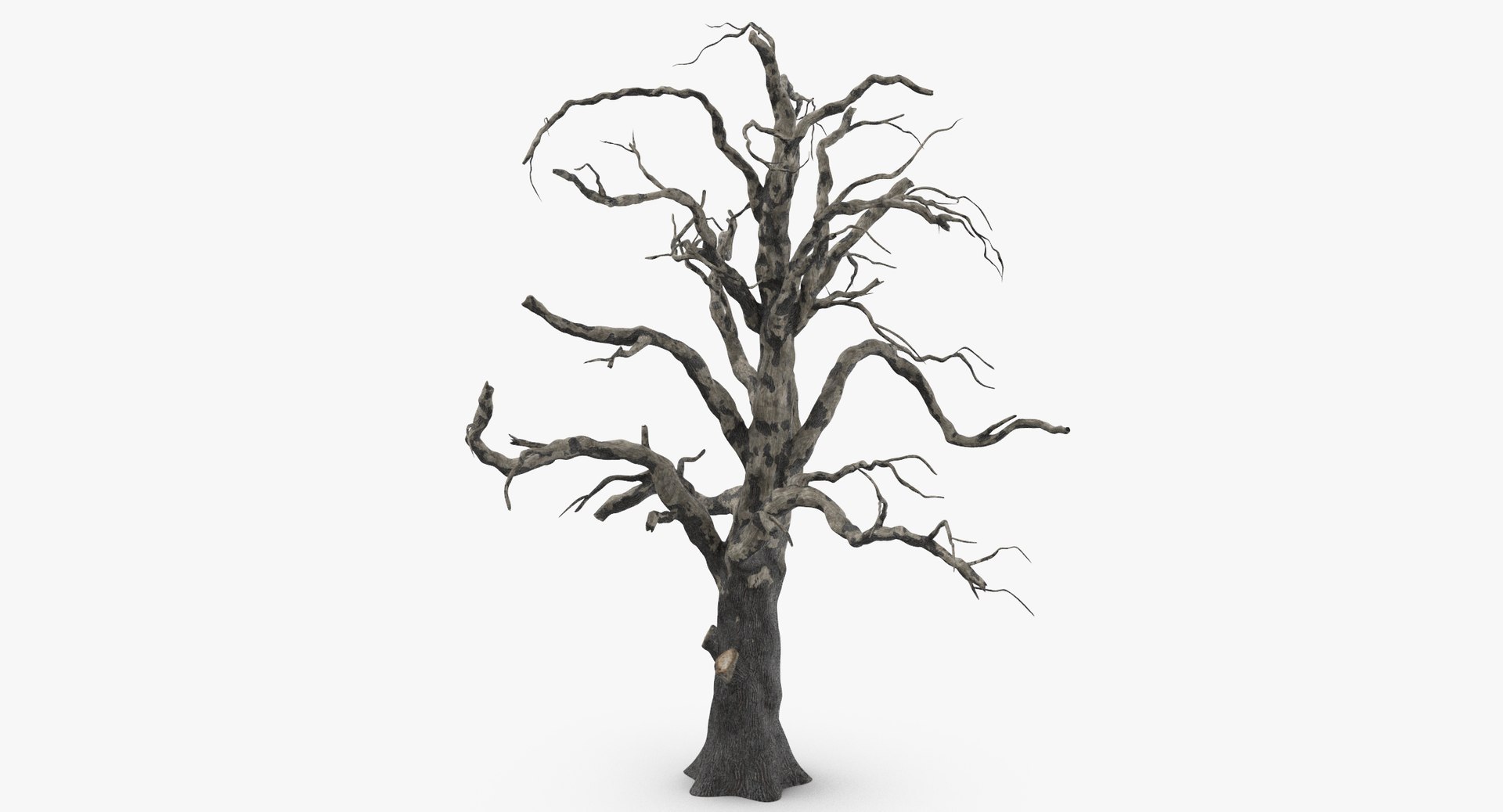 old dead tree 03 3d model https://p.turbosquid.com/ts-thumb/N5/MtHcKM/uPhccFWK/old_dead_tree_03_thumbnail_0001/jpg/1481471691/1920x1080/fit_q87/14843ac35026d2da462b56a14c1233a294452245/old_dead_tree_03_thumbnail_0001.jpg