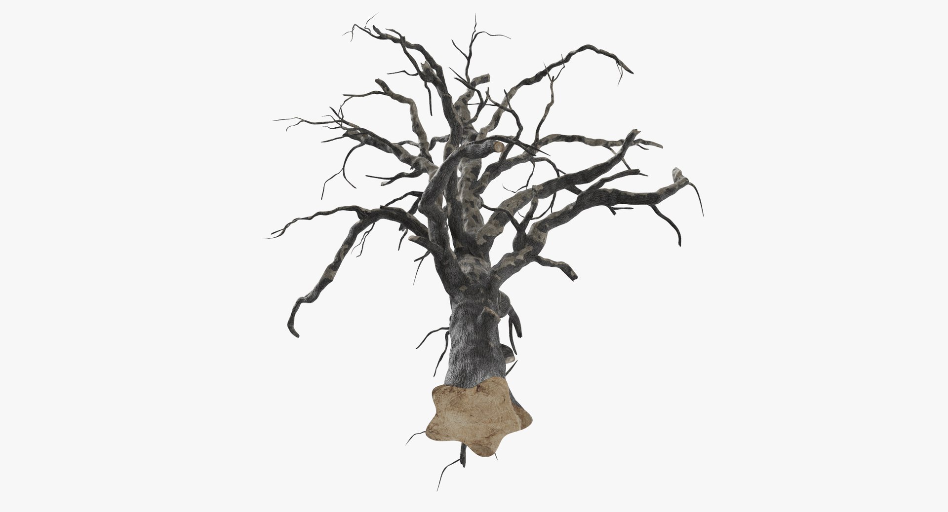 old dead tree 03 3d model https://p.turbosquid.com/ts-thumb/N5/MtHcKM/xDa3SnB2/old_dead_tree_03_thumbnail_0007/jpg/1481471691/1920x1080/fit_q87/6da80c21ba56f6f99a3cbc3582cc7df5544d9788/old_dead_tree_03_thumbnail_0007.jpg